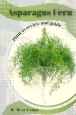Asparagus Fern af Mixa Lungu