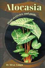 Alocasia af Mixa Lungu