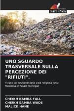 UNO SGUARDO TRASVERSALE SULLA PERCEZIONE DEI 