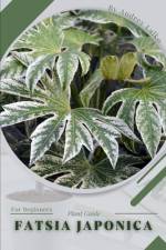 Fatsia japonica af Andrey Lalko