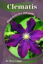 Clematis af Mixa Lungu