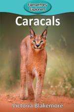 Caracals af Victoria Blakemore