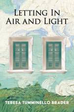 Letting In Air and Light af Teresa Tumminello Brader