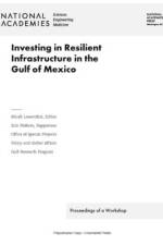 Investing in Resilient Infrastructure in the Gulf of Mexico: Proceedings of a Workshop af National Academies Of Sciences Engineeri