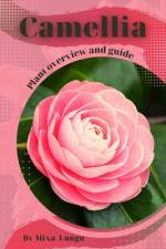 Camellia af Mixa Lungu