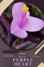 Purple Heart af Petal Prodigy