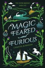 Magic Feared and Furious af Chantel Burnham