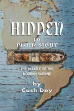 Hidden in Plain Sight af Cush Dey
