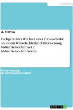 Fachgerechter Wechsel einer Trennscheibe an einem Winkelschleifer (Unterweisung Industriemechaniker / Industriemechanikerin) af A. Steffen
