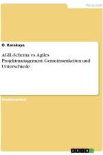 AGIL-Schema vs. Agiles Projektmanagement. Gemeinsamkeiten und Unterschiede af O. Karakaya