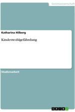 Kindeswohlgefährdung af Katharina Hilberg