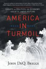 America in Turmoil af John DeQ. Briggs