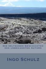 Die seltsamen Geschichten des unbekannten Autors af Ingo Schulz