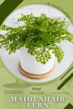 Maidenhair Fern af Petal Prodigy