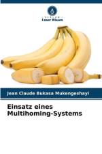 Einsatz eines Multihoming-Systems af Jean Claude Bukasa Mukengeshayi