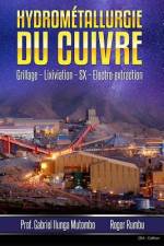 Hydrometallurgie du cuivre af Roger Rumbu