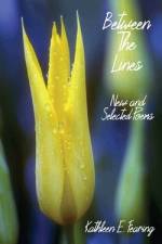 Between The Lines af Kathleen E Fearing