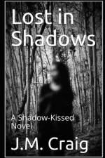 Into the Shadows af J M Craig