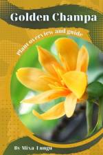 Golden Champa af Mixa Lungu