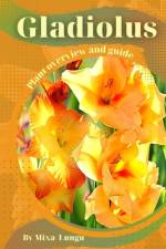 Gladiolus af Mixa Lungu