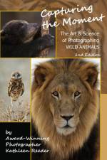 Capturing the Moment, The Art & Science of Photographing Wild Animals af Kathleen Reeder