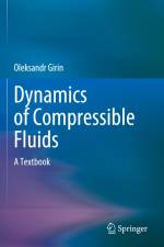 Dynamics of Compressible Fluids af Oleksandr Girin