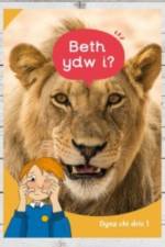 Dyna Chi Dric: Beth Ydw I? af Eirian Lloyd Jones