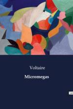 Micromegas