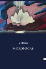MICROMÉGAS