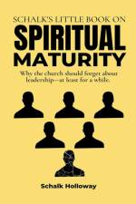 Schalk's Little Book on Spiritual Maturity af Schalk Holloway
