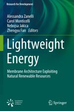 Lightweight Energy af Alessandra Zanelli
