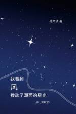 《我看到风，拨动了湖面的星光》 af Wenbo Sun