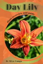 Day Lily af Mixa Lungu