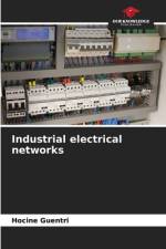 Industrial electrical networks af Hocine Guentri