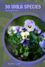 30 Viola species af Mixa Lungu