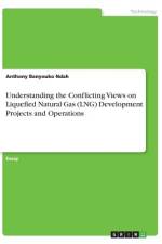 Understanding the Conflicting Views on Liquefied Natural Gas (LNG) Development Projects and Operations af Anthony Banyouko Ndah