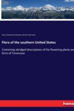 Flora of the southern United States af Daniel Cady Eaton