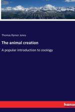 The animal creation af Thomas Rymer Jones