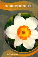 30 Narcissus species af Mixa Lungu