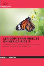 LEPIDOPTERAN INSECTS ON NERICA RICE 3 af Ismael Sadou