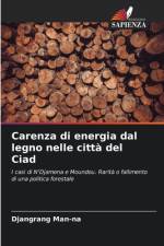 Carenza di energia dal legno nelle città del Ciad af Djangrang Man-Na