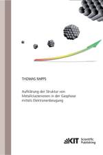 Aufklärung der Struktur von Metallclusterionen in der Gasphase mittels Elektronenbeugung af Thomas Peter Fabian Rapps