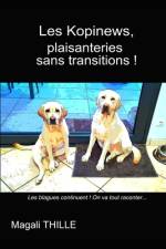 Les Kopinews, plaisanteries sans transitions ! af Magali Thille