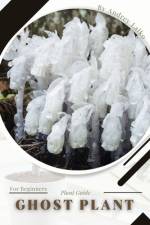 Ghost Plant af Andrey Lalko