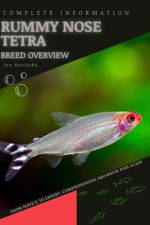Rummy Nose Tetra af Iva Novitsky