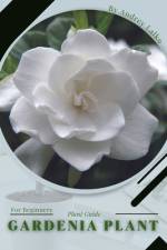 Gardenia Plant af Andrey Lalko
