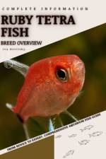 Ruby Tetra Fish af Iva Novitsky
