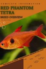Red Phantom Tetra af Iva Novitsky