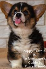 Puppy Training 101 af Phoenix Creations