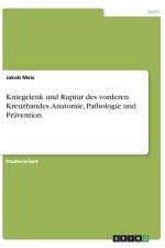 Kniegelenk und Ruptur des vorderen Kreuzbandes. Anatomie, Pathologie und Prävention af Jakob Meis